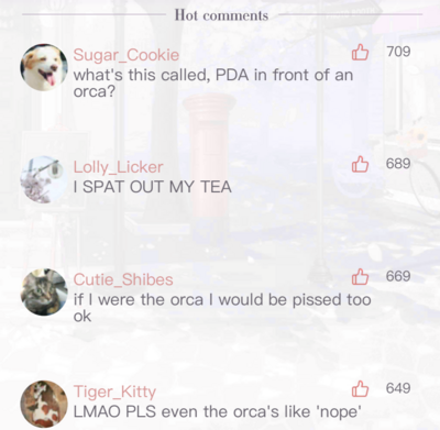 News 00012 Comments.PNG
